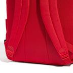 ADIDAS CLSC BARS 3S IS7043 BACKPACK