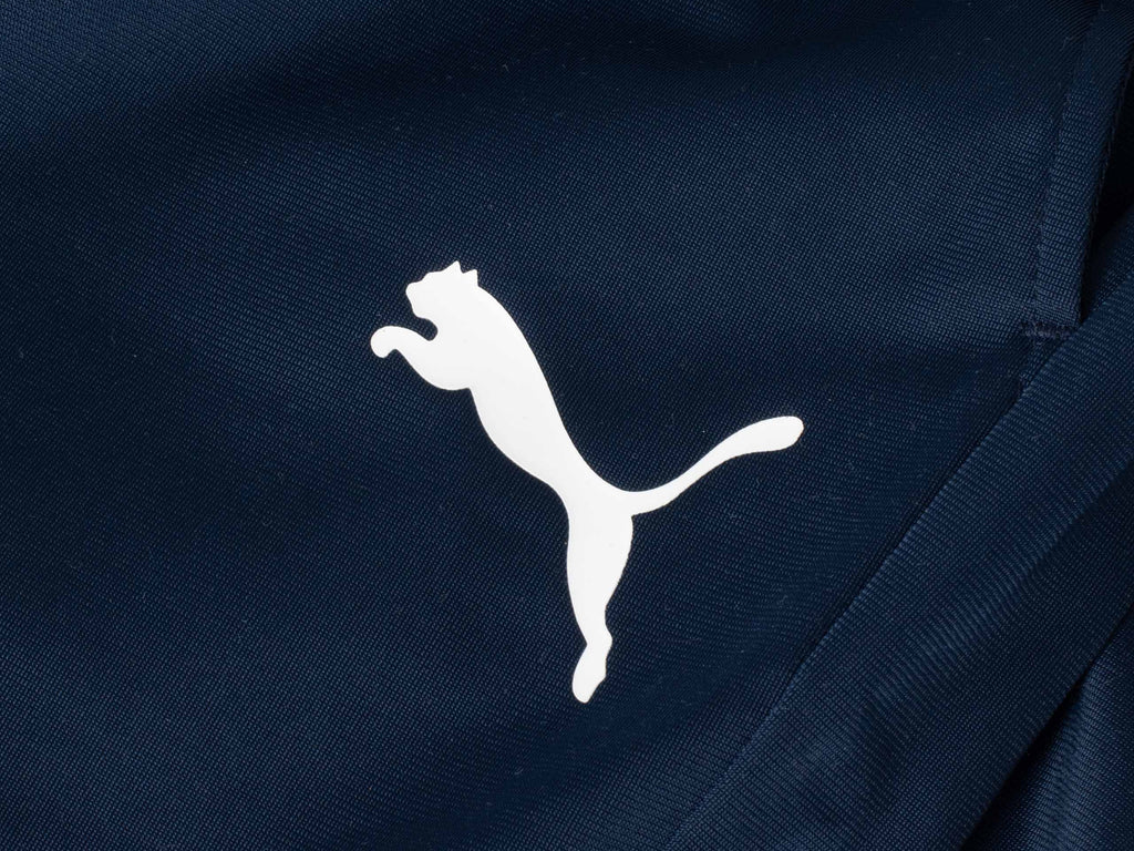 PUMA TRAINING PANTS Liga Training Pant