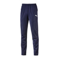 PUMA TRAINING PANTS Liga Training Pant